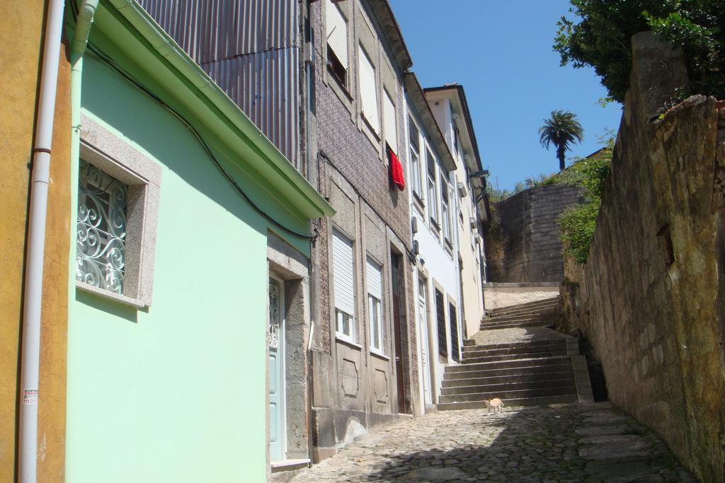 Green House Porto Rom bilde